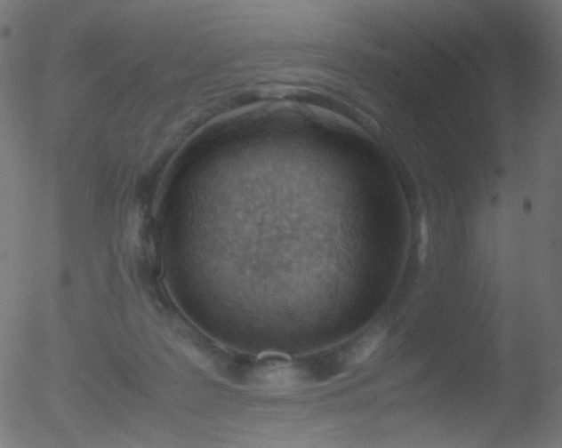 X0000052550219200507011138