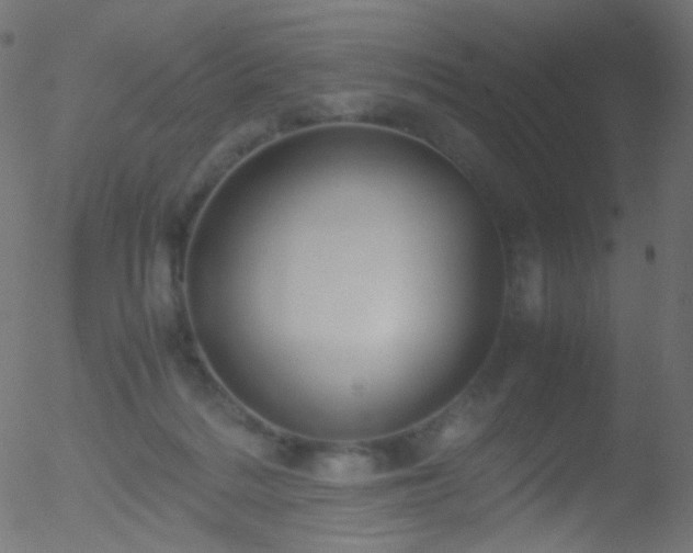 X0000052550220200507011138