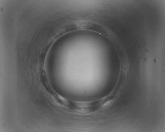 X0000052550221200507011138