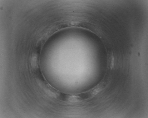 X0000052550222200507011138