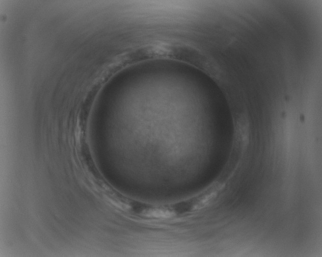 X0000052550223200507011138