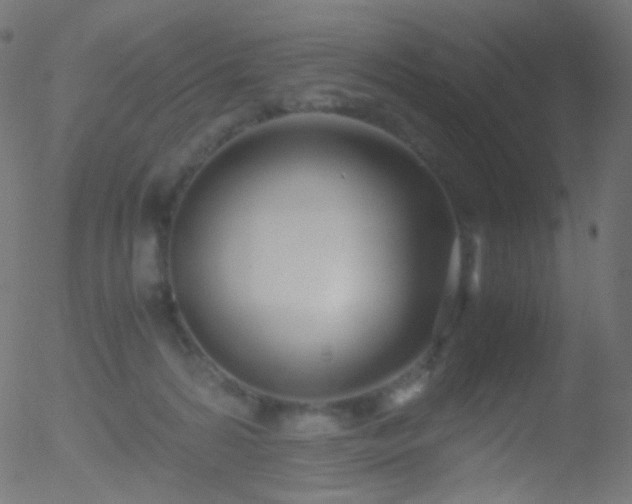 X0000052550224200507011138