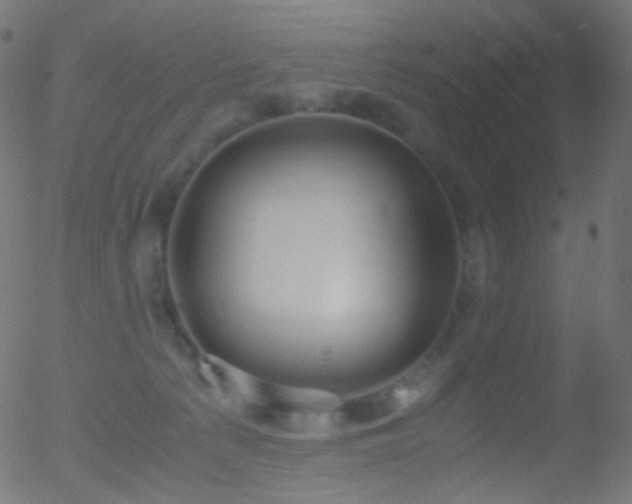 X0000052550225200507011138