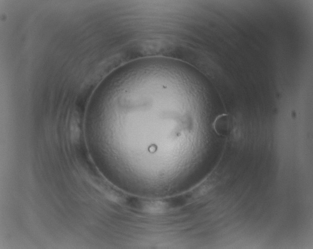 X0000052550226200507011138