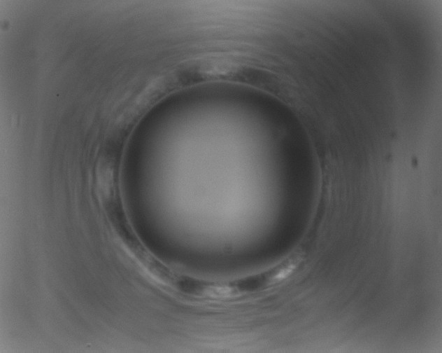 X0000052550227200507011138