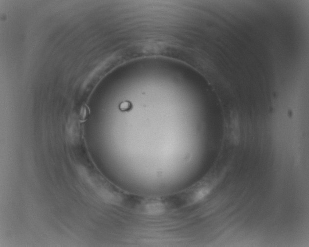 X0000052550228200507011138