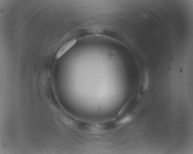 X0000052550229200507011138