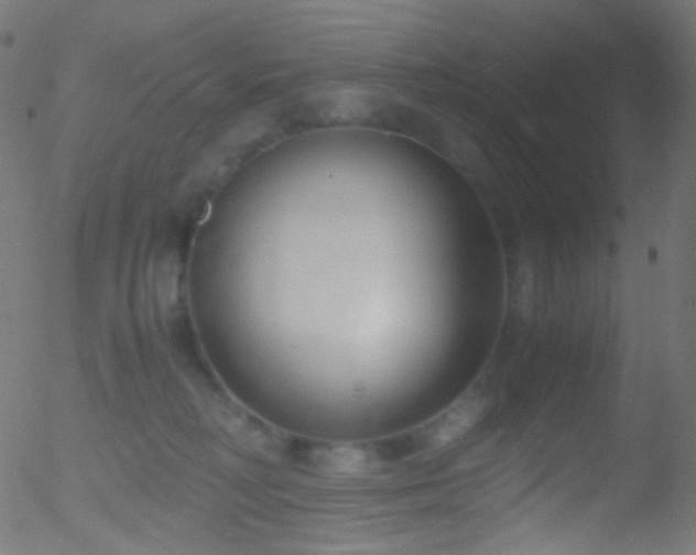 X0000052550230200507011138