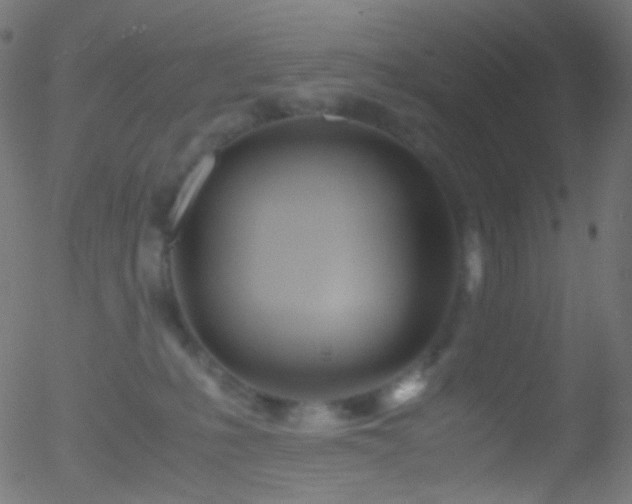 X0000052550231200507011138