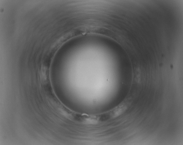 X0000052550232200507011138