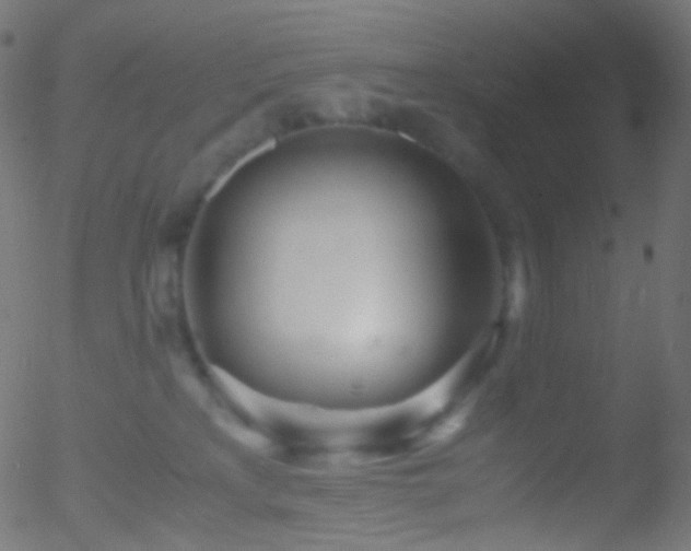 X0000052550233200507011138