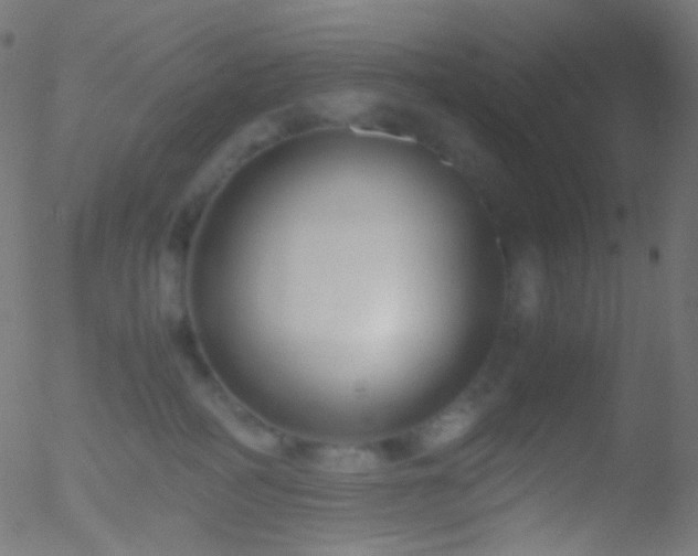 X0000052550234200507011138