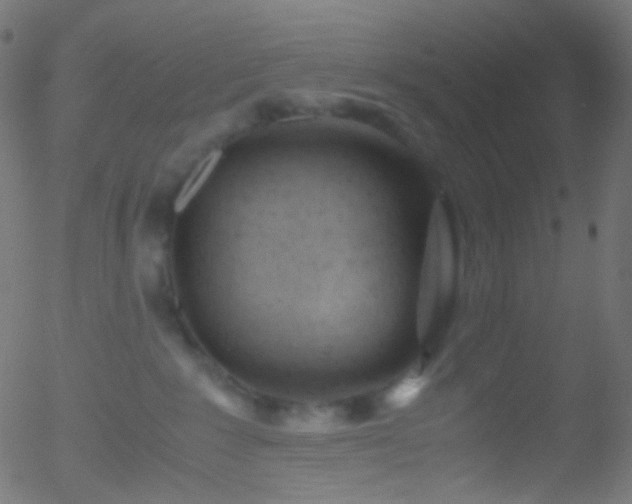 X0000052550235200507011138