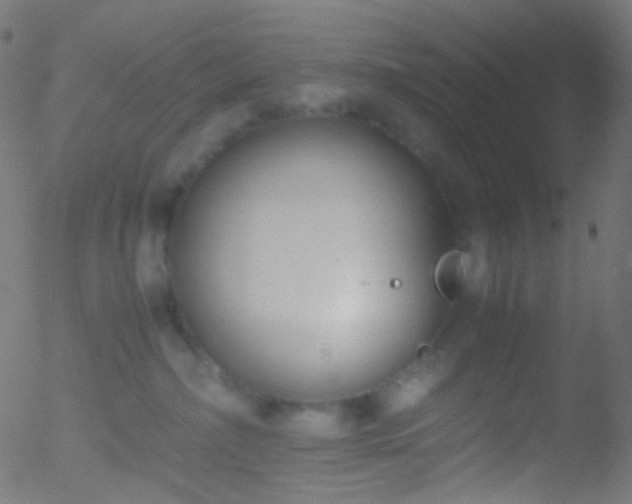 X0000052550236200507011138