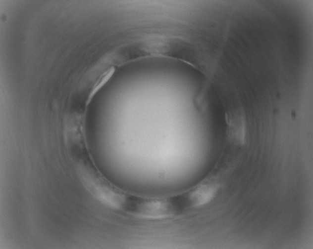 X0000052550237200507011138