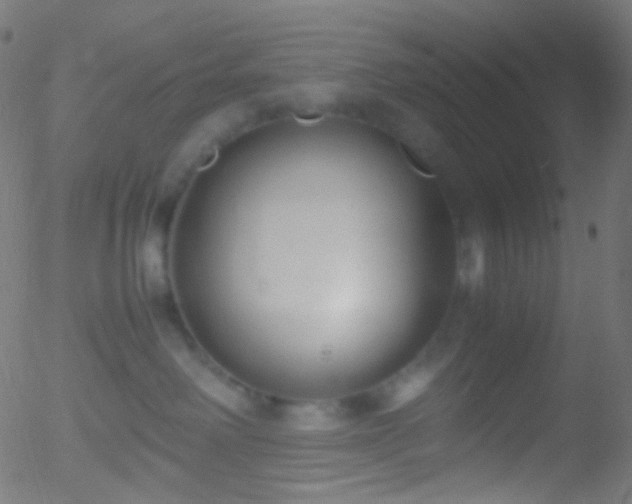 X0000052550238200507011138