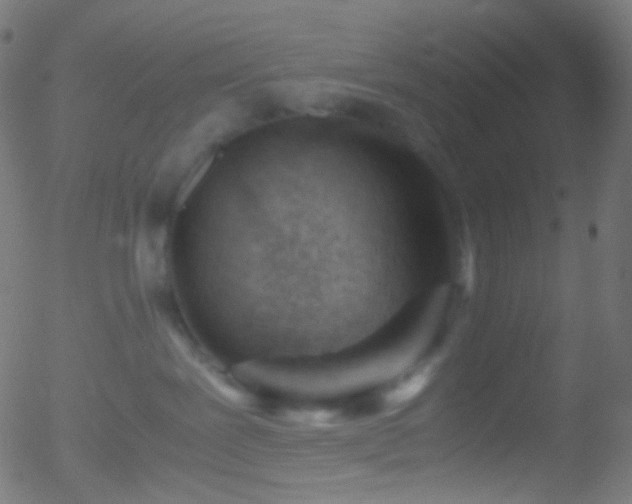 X0000052550239200507011138