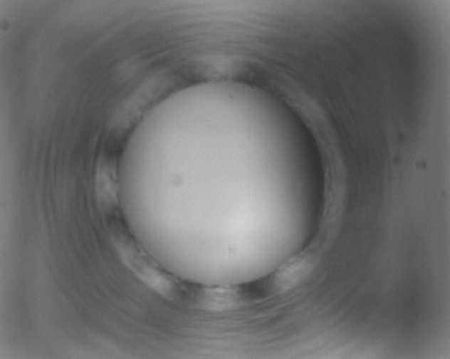 X0000052550240200507011138