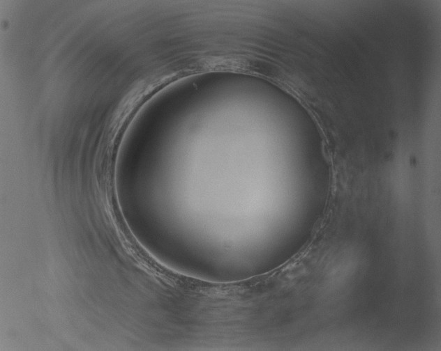 X0000052550241200507011137