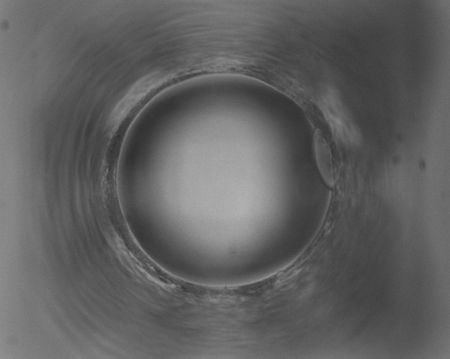 X0000052550242200507011137