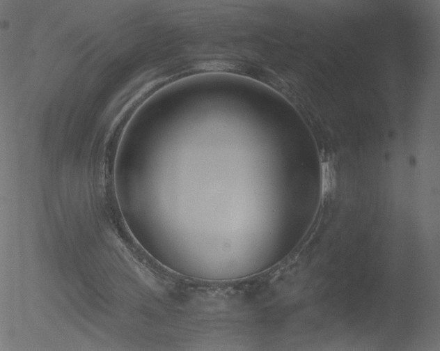 X0000052550243200507011137