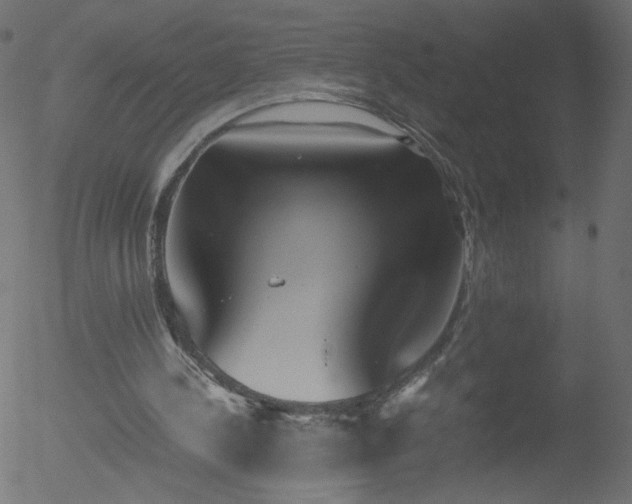 X0000052550244200507011137