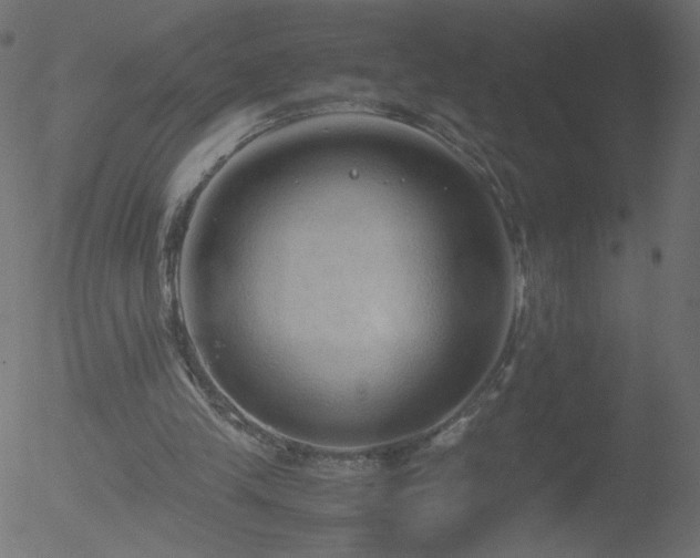 X0000052550245200507011137