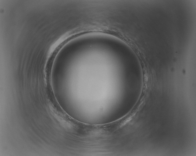 X0000052550246200507011137