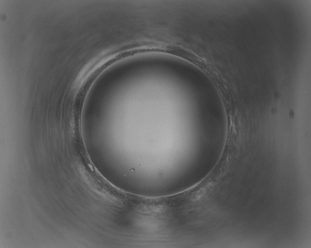 X0000052550247200507011137