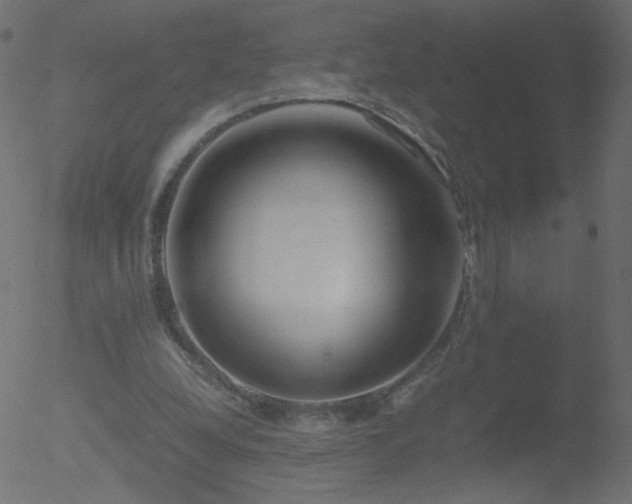 X0000052550248200507011137