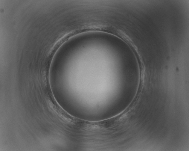 X0000052550249200507011137