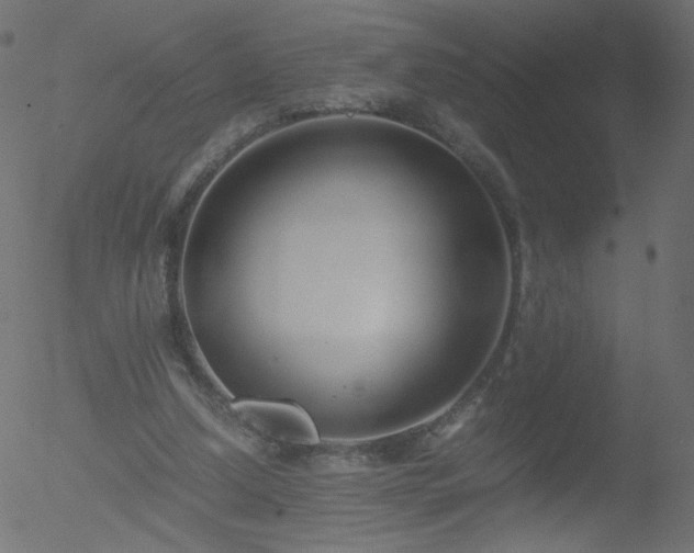 X0000052550250200507011137