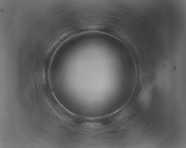 X0000052550251200507011137