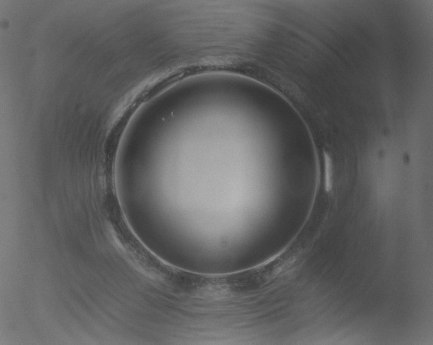 X0000052550252200507011137