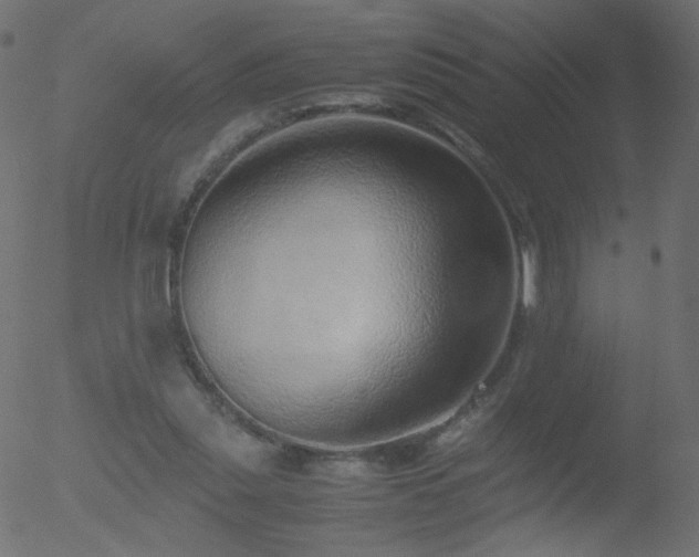 X0000052550253200507011137