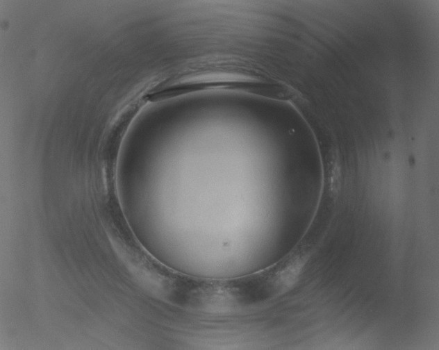 X0000052550254200507011137