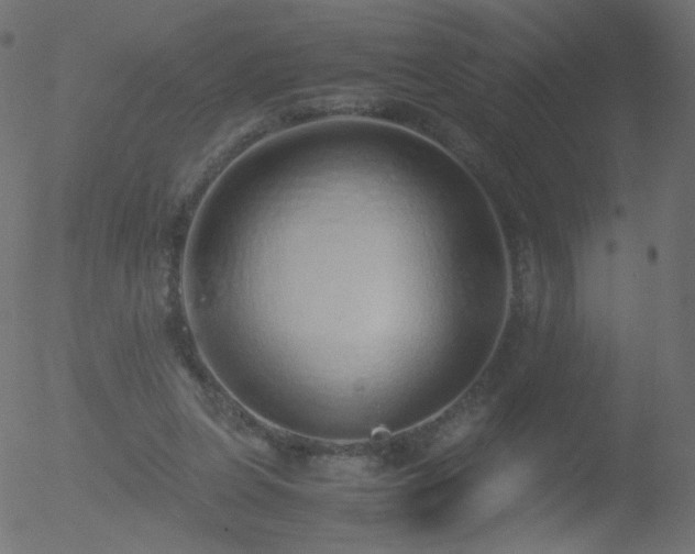 X0000052550255200507011137