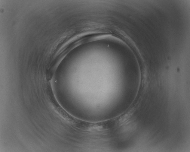 X0000052550257200507011137