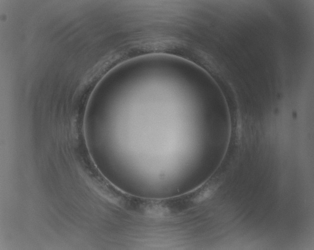 X0000052550258200507011137