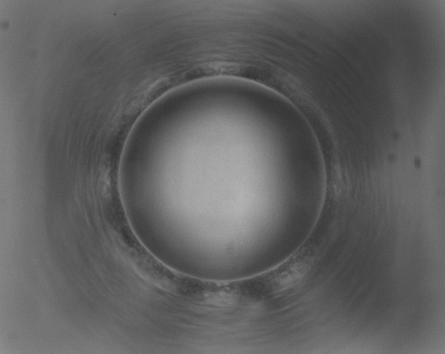 X0000052550259200507011138