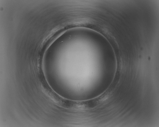 X0000052550260200507011138