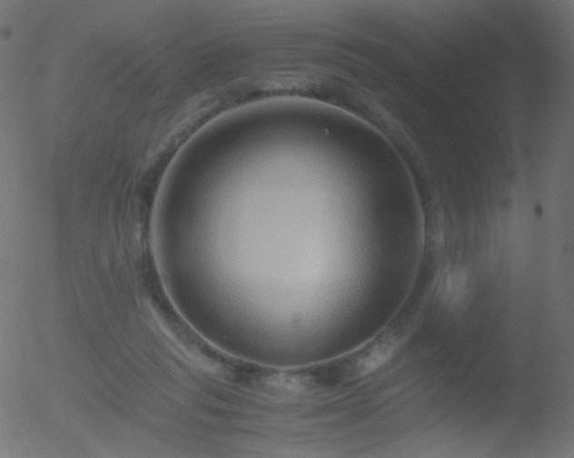 X0000052550261200507011138