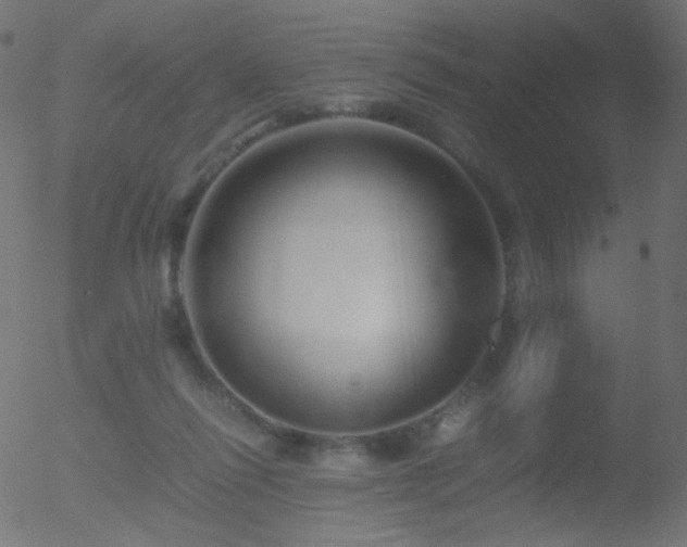 X0000052550262200507011138