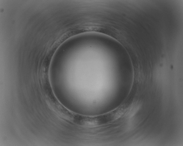 X0000052550263200507011138