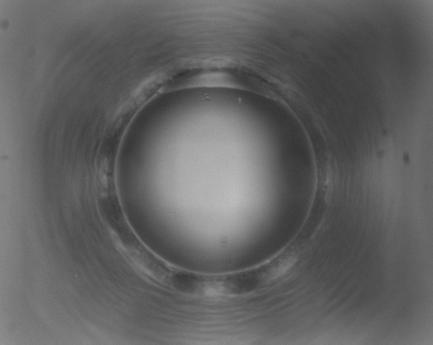 X0000052550264200507011138