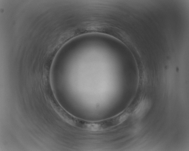 X0000052550265200507011138