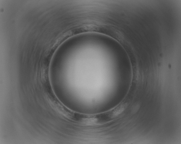 X0000052550266200507011138