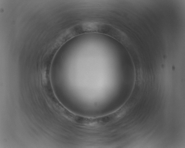 X0000052550267200507011138