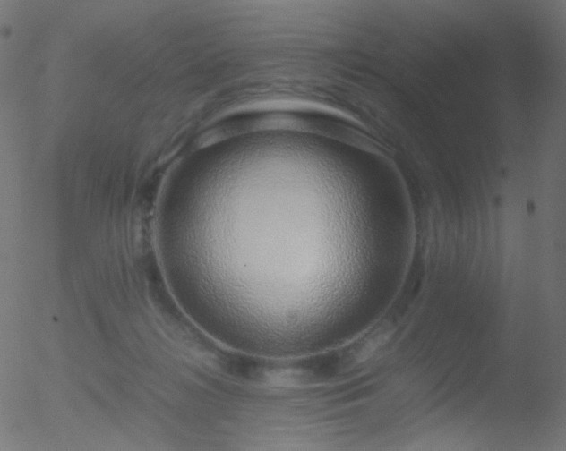 X0000052550268200507011138