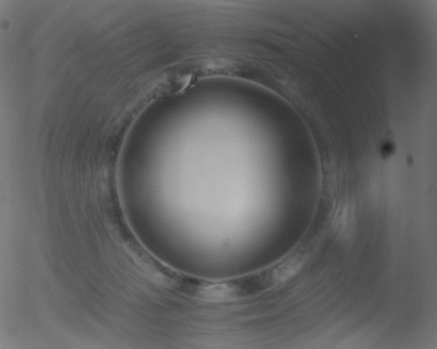 X0000052550269200507011138